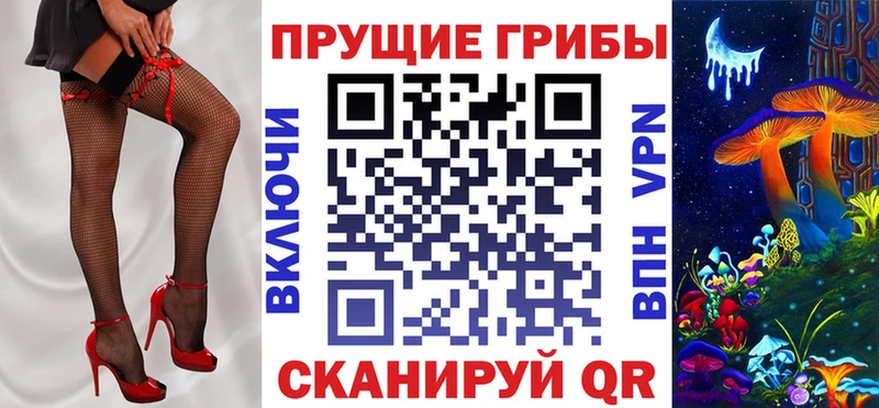 Псилоцибиновые грибы Cubensis  Унеча 