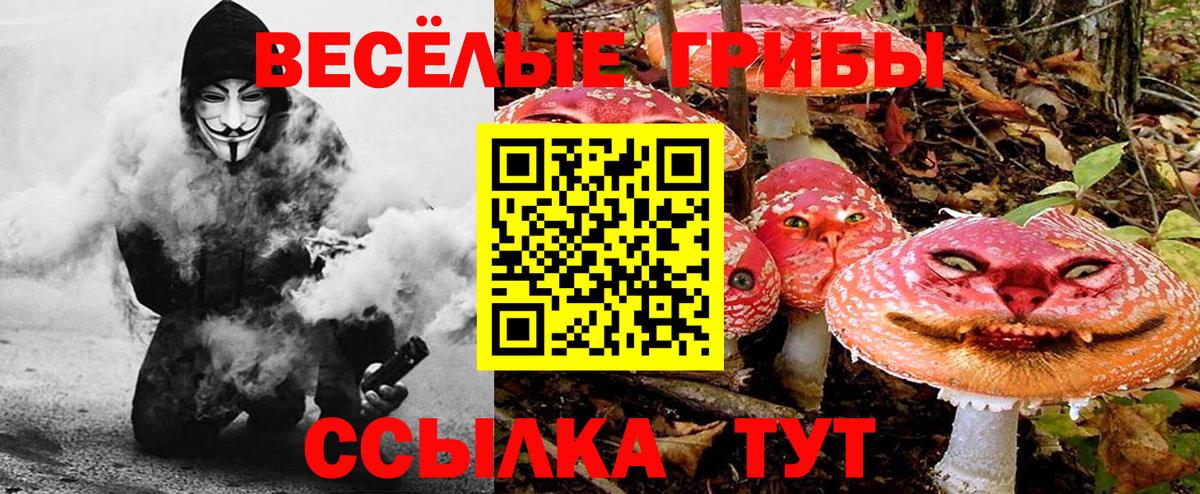 Унеча  Галлюциногенные грибы прущие грибы  Вход с VPN 